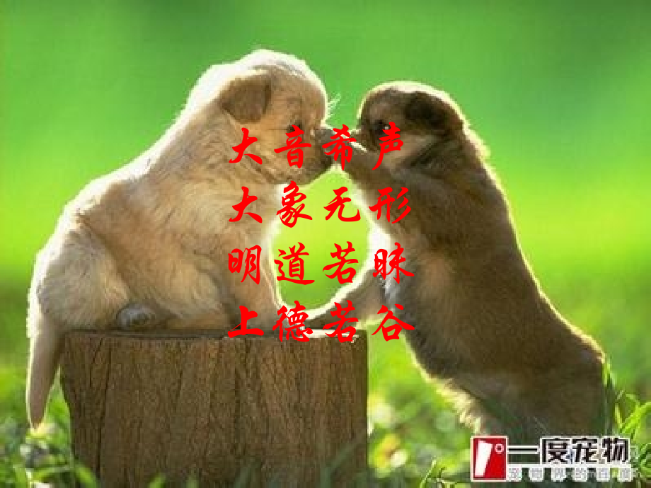 有一种记忆叫感动.ppt_第2页