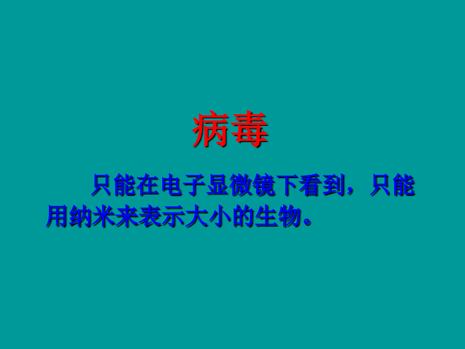 秋人教版八上第五章《病毒》.ppt_第1页