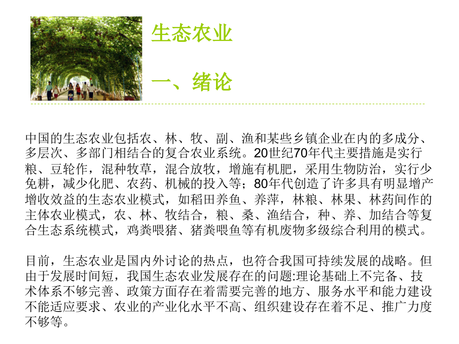 生态农业-案例课件.ppt_第2页