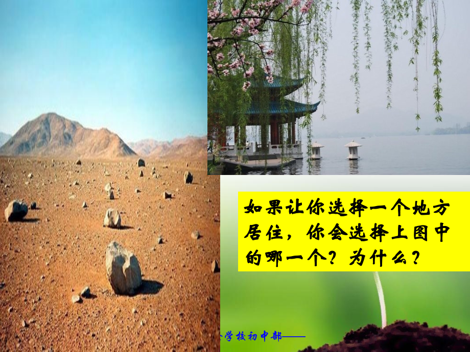 生物学——美.ppt_第2页