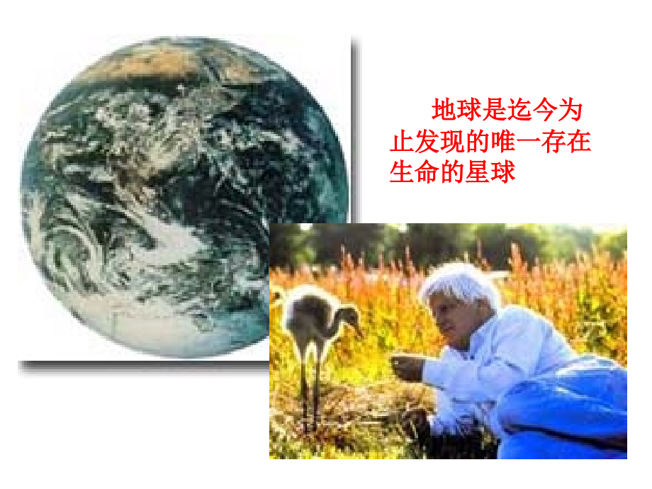 第12课探索生命起源之谜.ppt_第2页