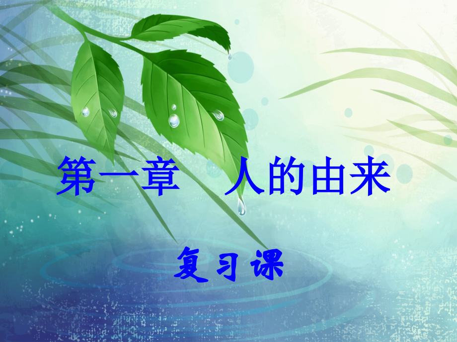 第一章人的由来复习.ppt_第1页