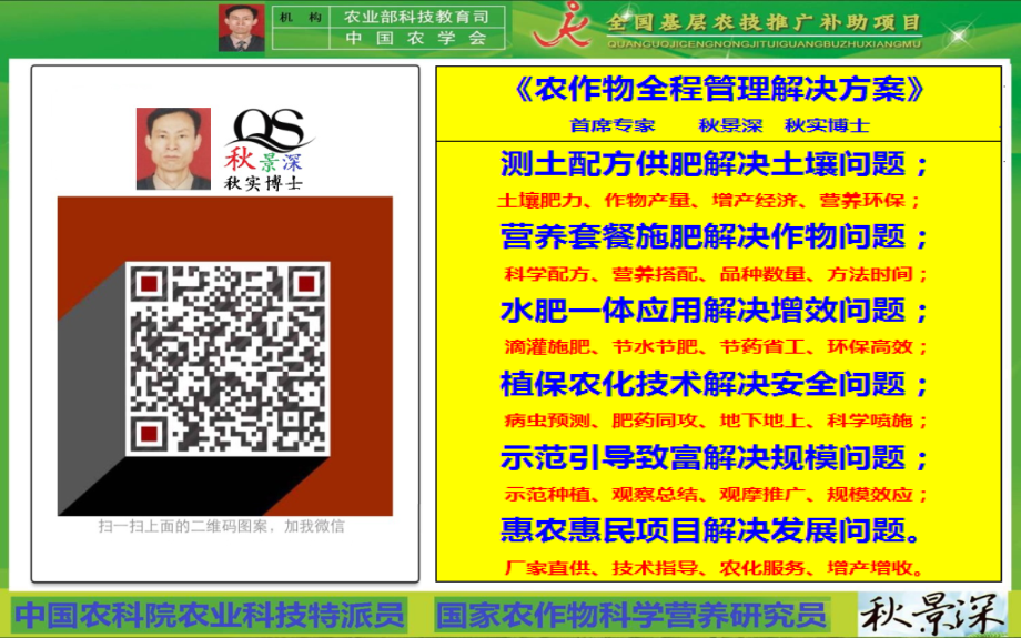 秋景深-农业科技推广专题.ppt_第2页