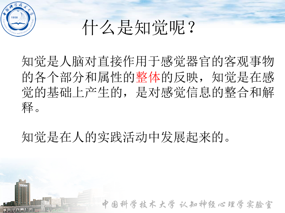 第三章知觉.ppt_第2页