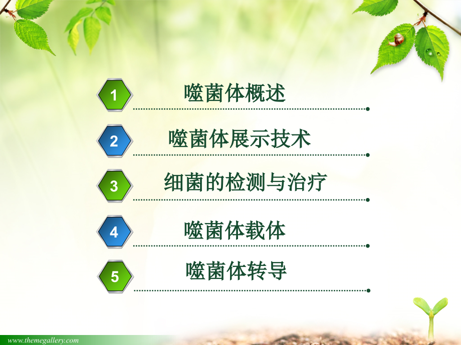 噬菌体课件.ppt_第1页