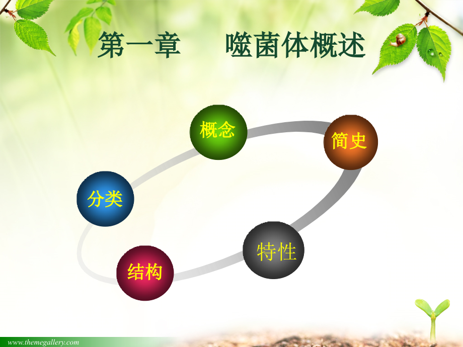 噬菌体课件.ppt_第2页