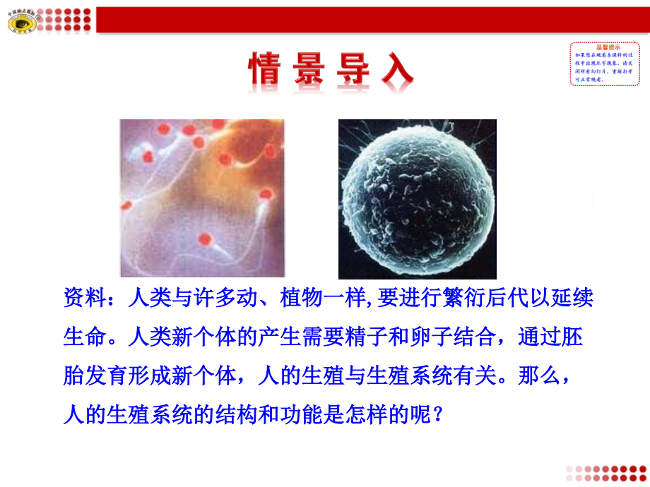 第一节--精卵结合孕育新的生命.ppt_第1页
