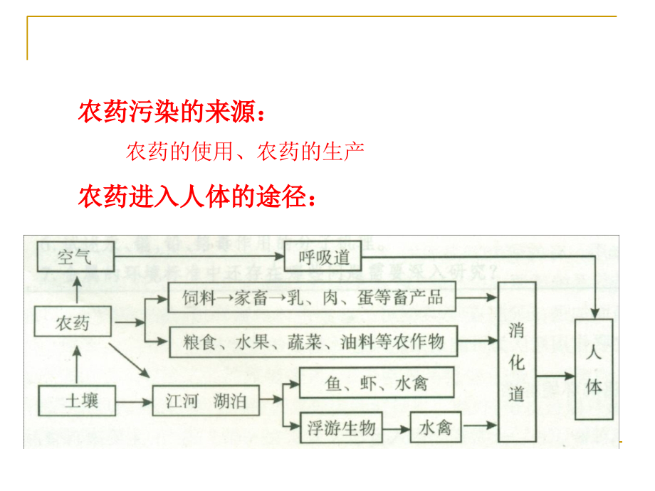 环境毒理学-第六章.ppt_第2页