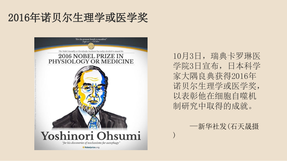 关于细胞自噬的研究进展——2016诺贝尔生理学或医学奖.ppt_第1页