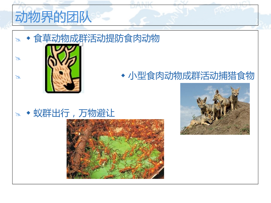 团队协作.ppt_第2页