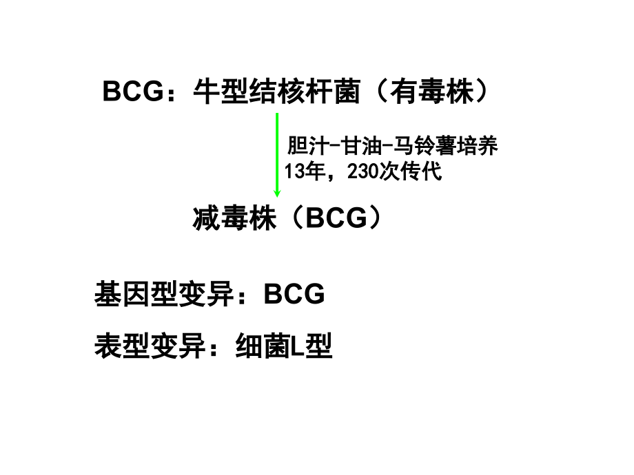 第二章-细菌的遗传变异.ppt_第2页