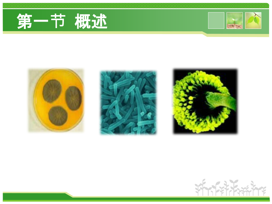 第七章2生物性污染对食品安全的影响.ppt_第1页