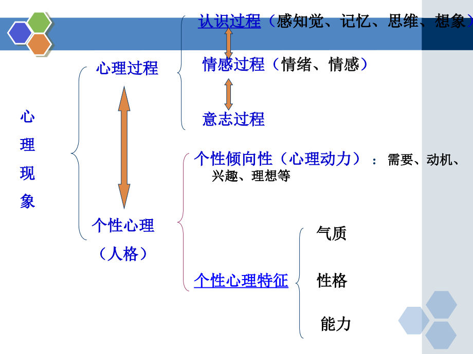 第一讲-心理学绪论.ppt_第2页