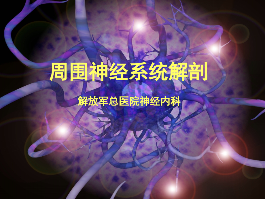 周围神经解剖-颅神经.ppt_第1页