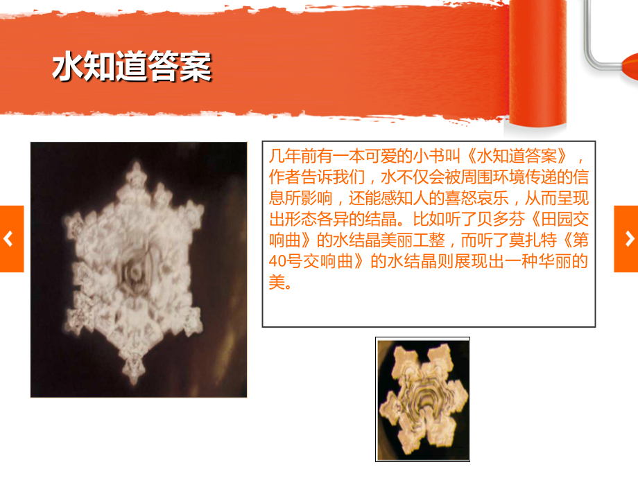 社团活动我参与.ppt_第2页