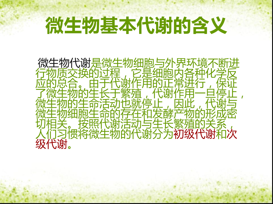 微生物的基本代谢及产物.ppt_第2页