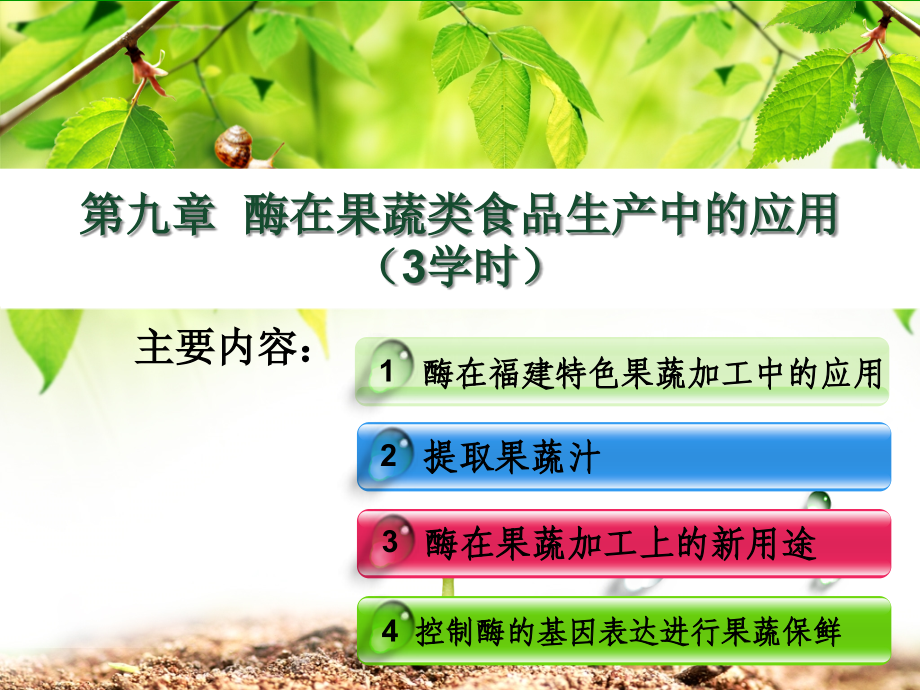 第九章酶在果蔬类食品生产中的应用.ppt_第1页