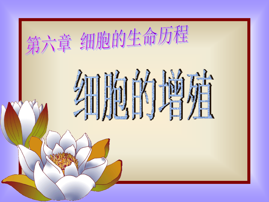 细胞增殖10.ppt_第1页