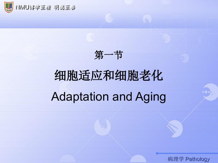 第一章--组织适应损伤.ppt_第1页