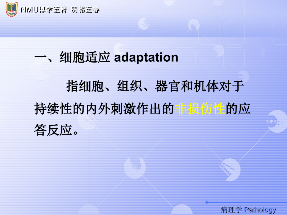 第一章--组织适应损伤.ppt_第2页