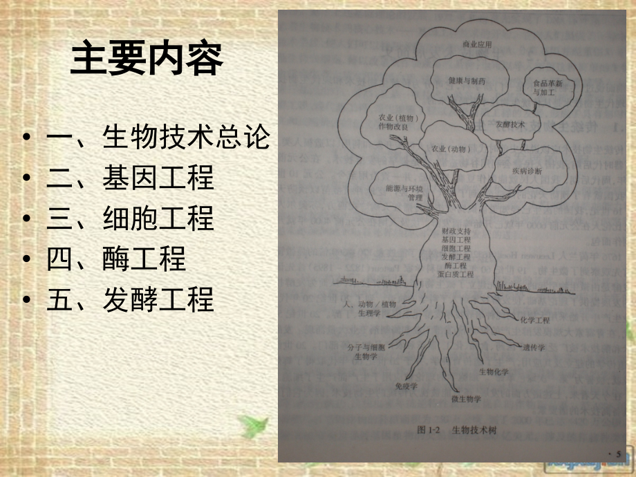 农产品的生物技术.ppt_第1页