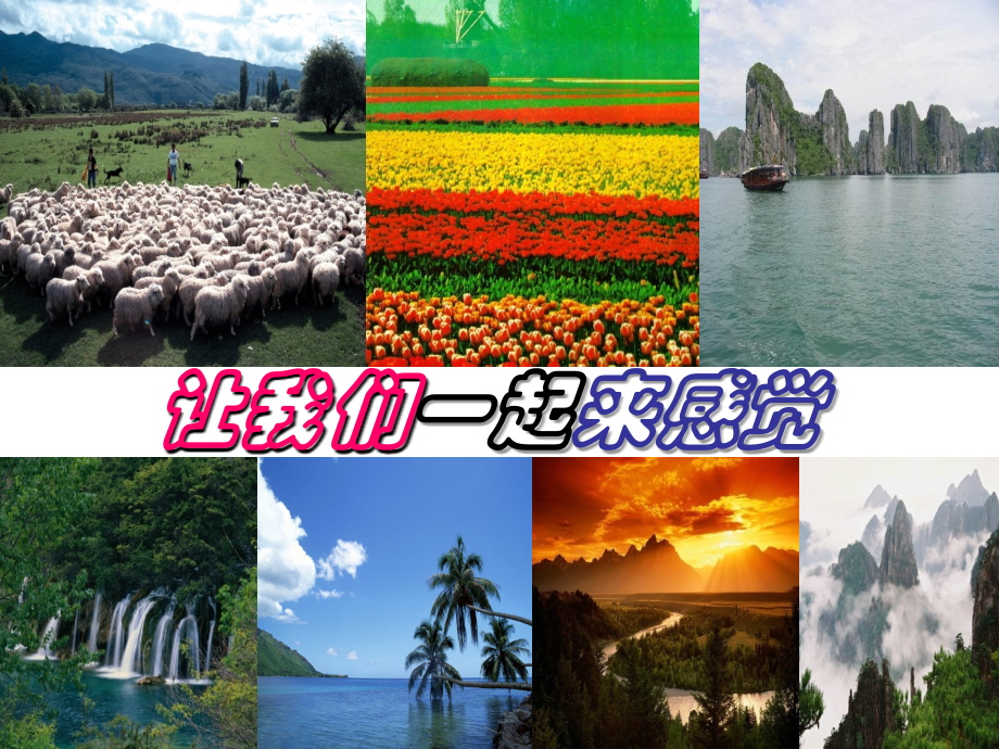 味觉和嗅觉.ppt_第1页