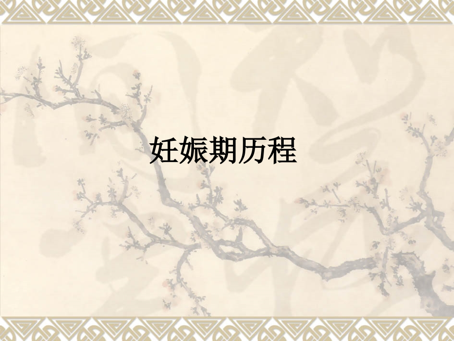 妊娠期历程.ppt_第1页