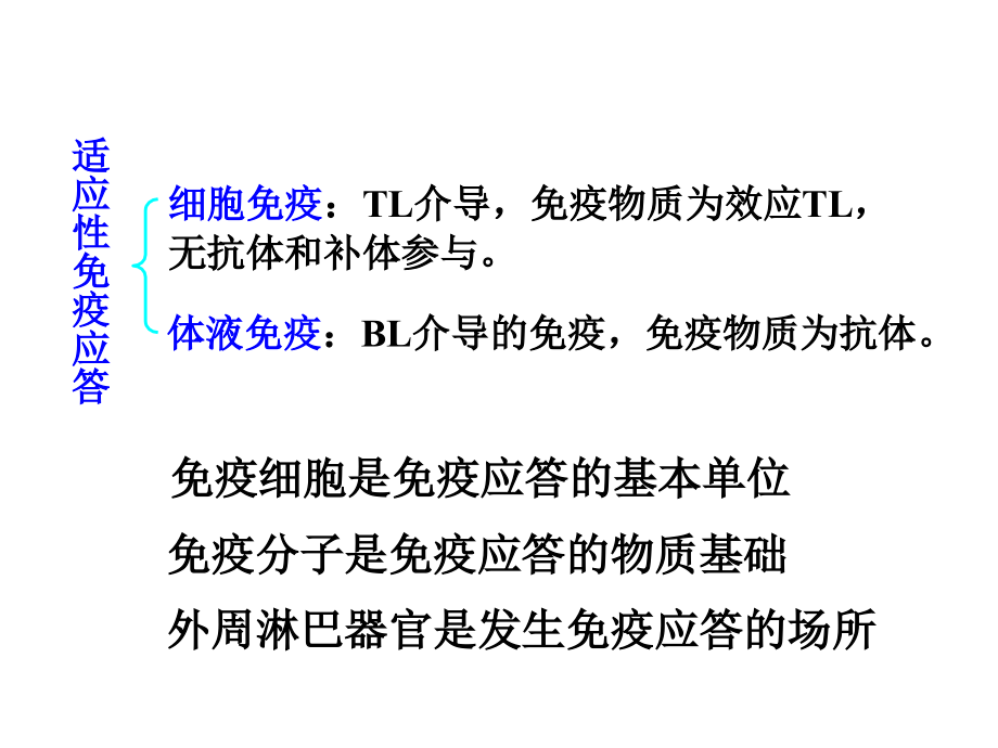 第12章T淋巴细胞介导的适应性免疫应答.ppt_第2页