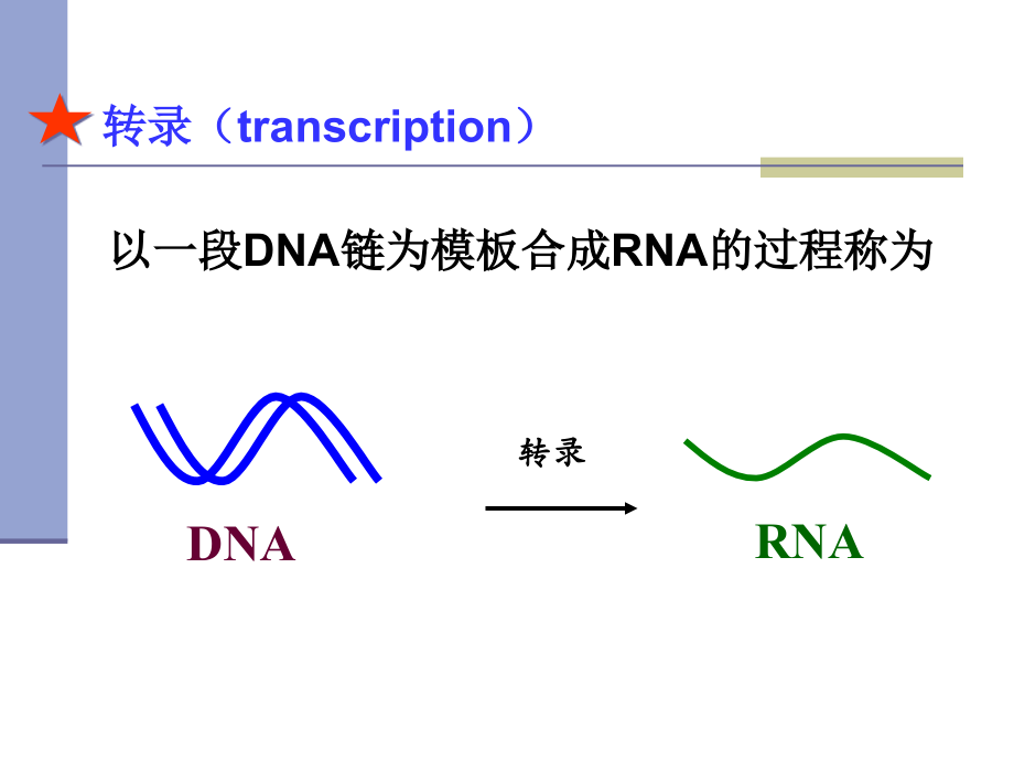 生物化学课件第11章转录(已改).ppt_第1页