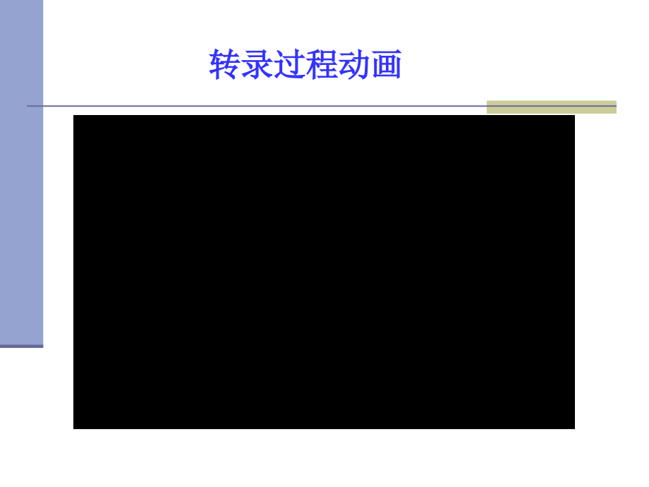 生物化学课件第11章转录(已改).ppt_第2页