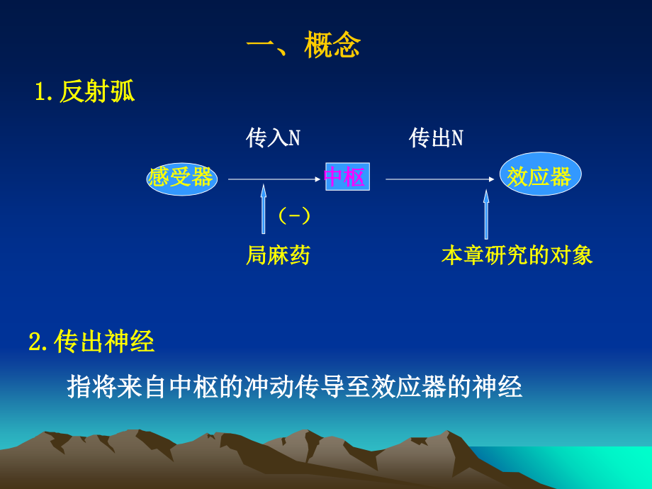第5-传出概论.ppt_第2页