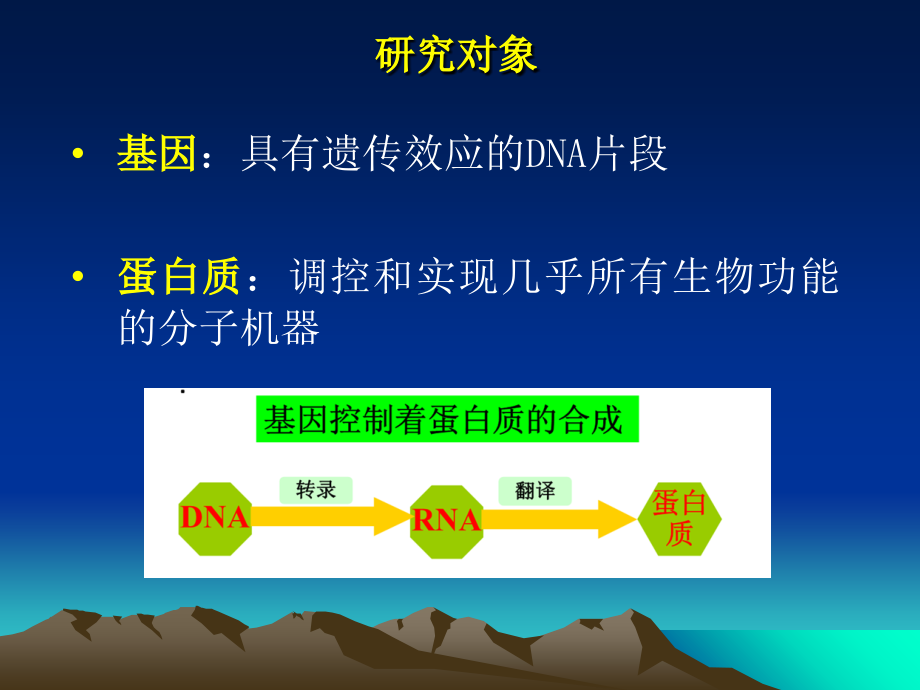 生物信息学第一章绪论.ppt_第2页