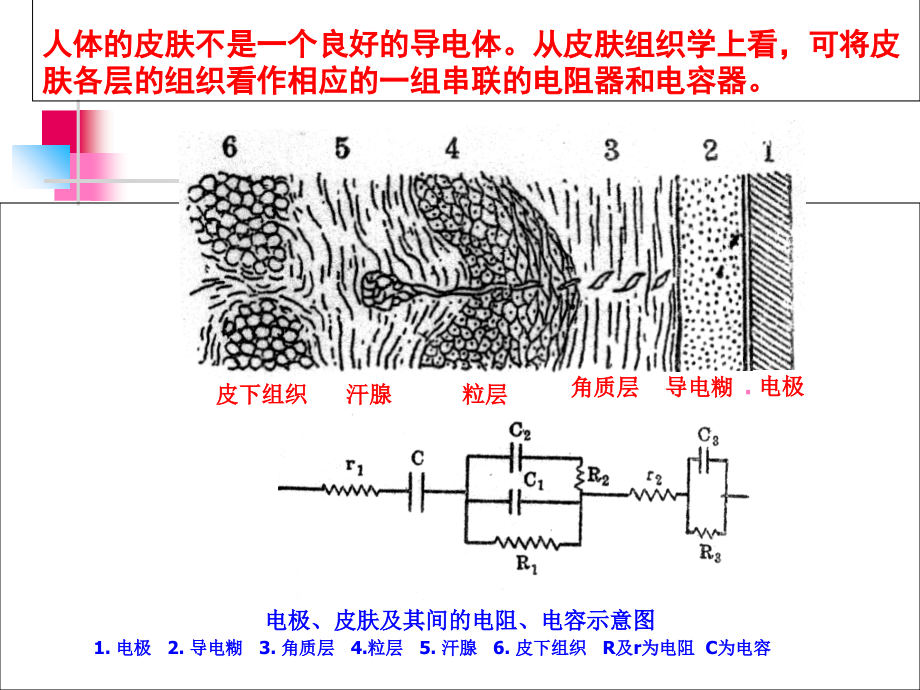 第二讲--心电图皮肤处理.ppt_第2页