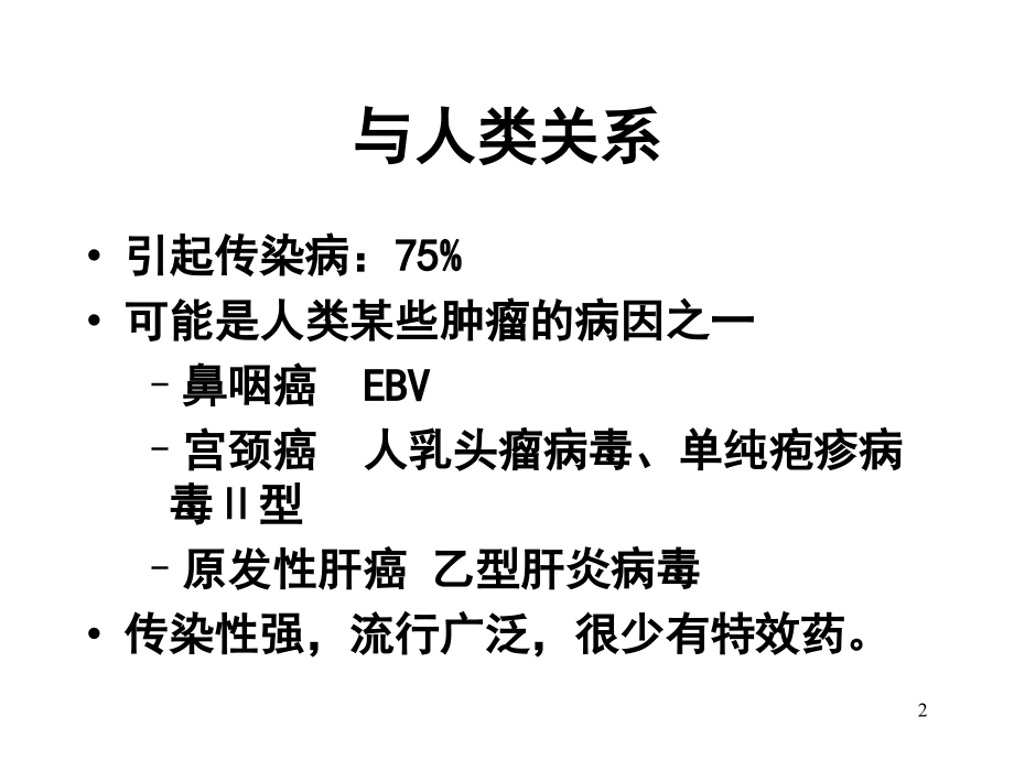 病毒概述1.ppt_第2页