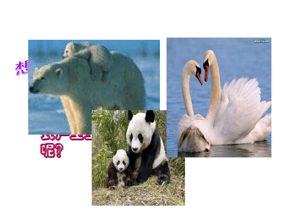 精子形成.ppt_第2页