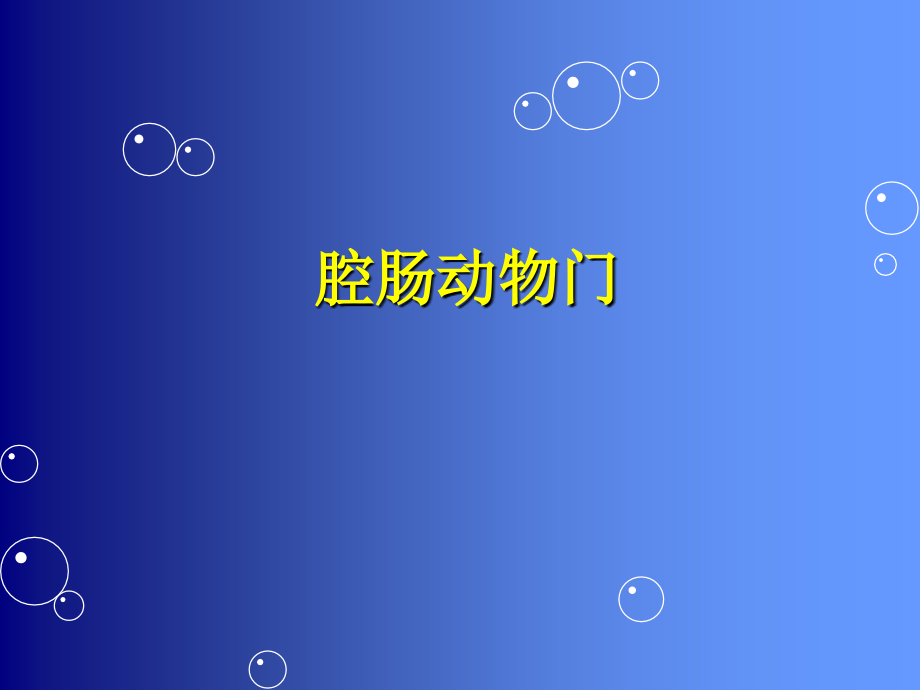 生物奥赛之腔肠、扁形、原腔动物门.ppt_第1页