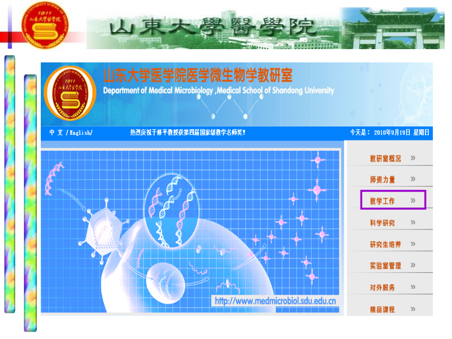 医学微生物学-第七版-绪论.ppt_第2页