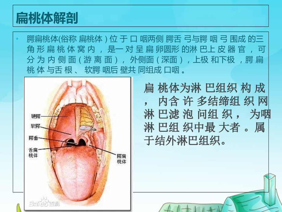 扁桃体淋巴瘤.ppt_第2页