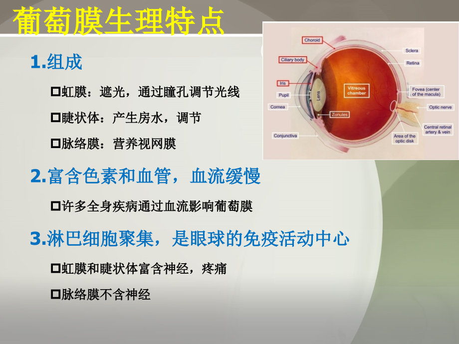 第三章-5-葡萄膜视网膜护理.ppt_第2页