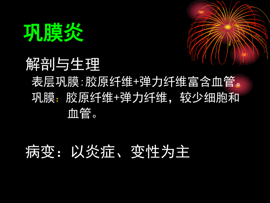 巩膜、玻璃体病.ppt_第2页