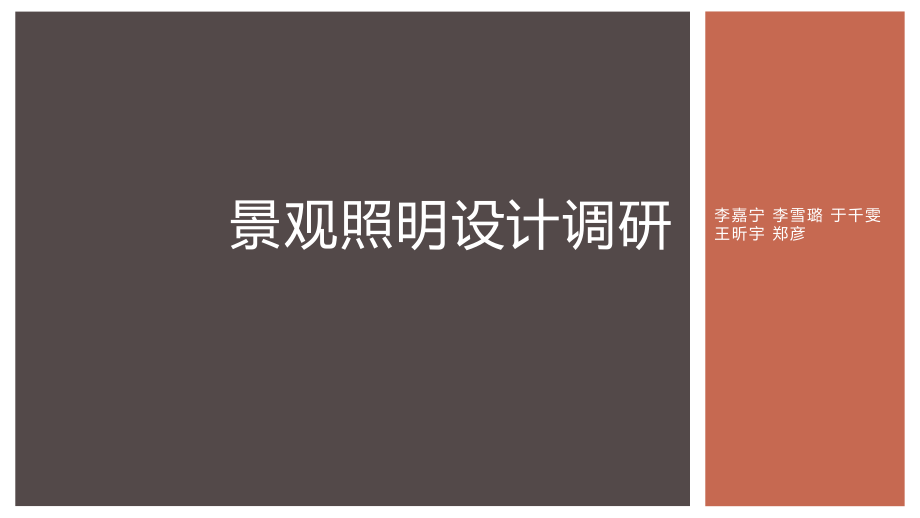 景观照明调研..pptx_第1页