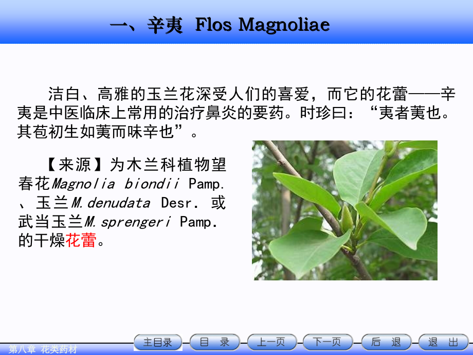 第8章-花类药材.ppt_第1页