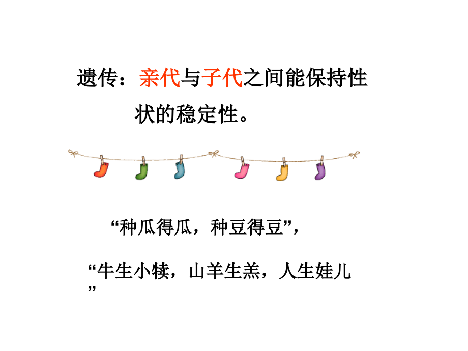 孟德尔豌豆杂交实验(一).ppt_第1页