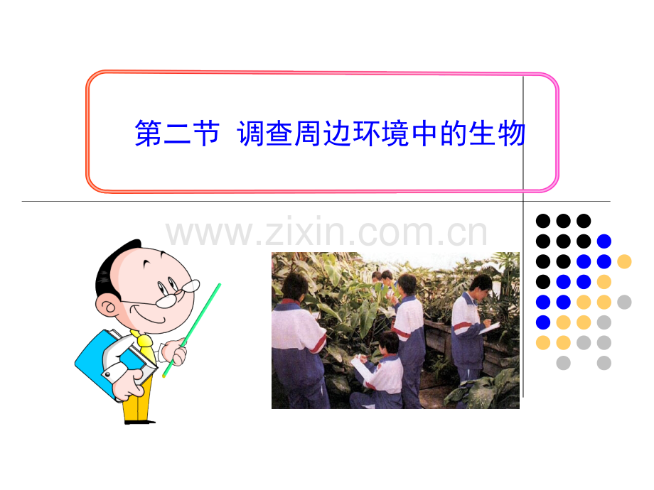 第二节-调查周边环境中的生物-课件.ppt_第2页