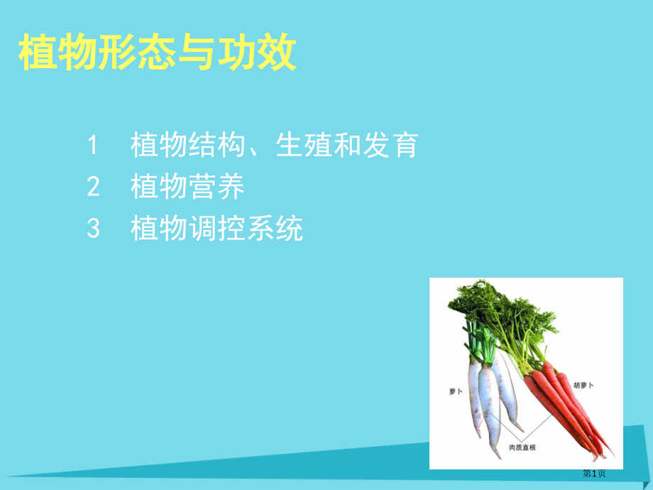 高中生物植物的形态与功能省公开课一等奖新名师优质课获奖课件.pptx_第1页