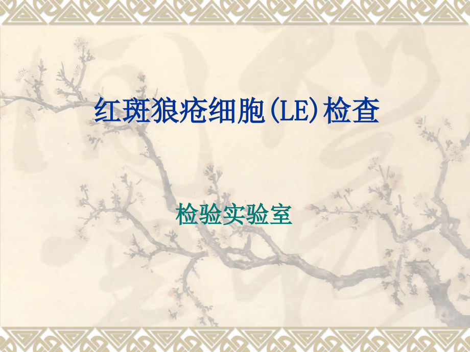 红斑狼疮检查.ppt_第1页