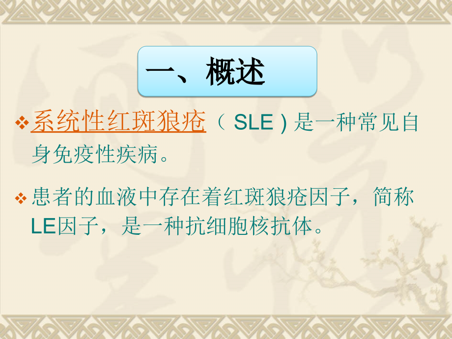 红斑狼疮检查.ppt_第2页