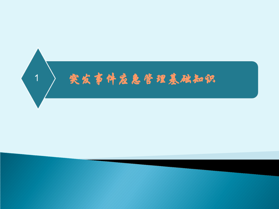 突发公共卫生事件管理讲义.ppt_第2页