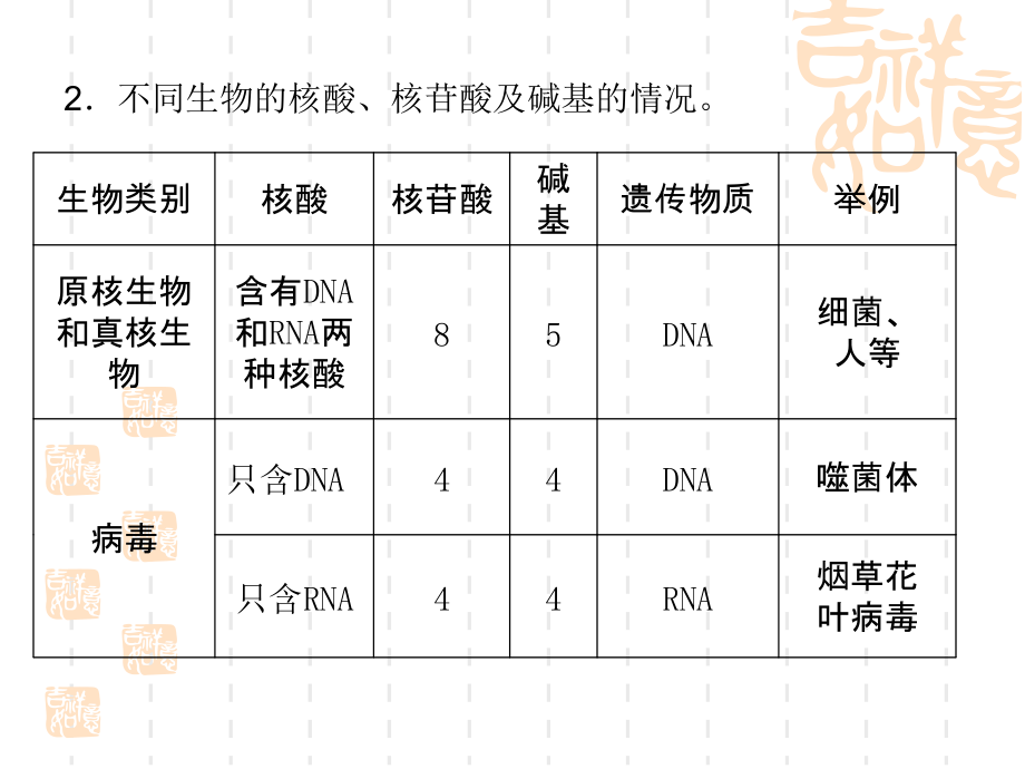 课件4-遗传信息的携带者——.ppt_第2页