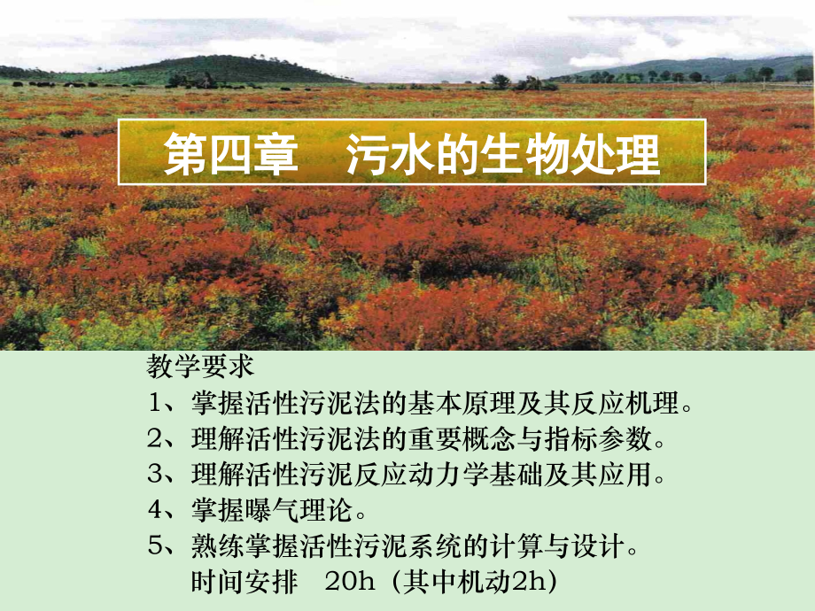第四章--污水的生物处理.ppt_第1页